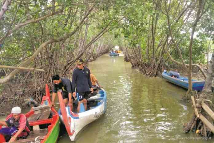 Lorong Hijau Mangrove