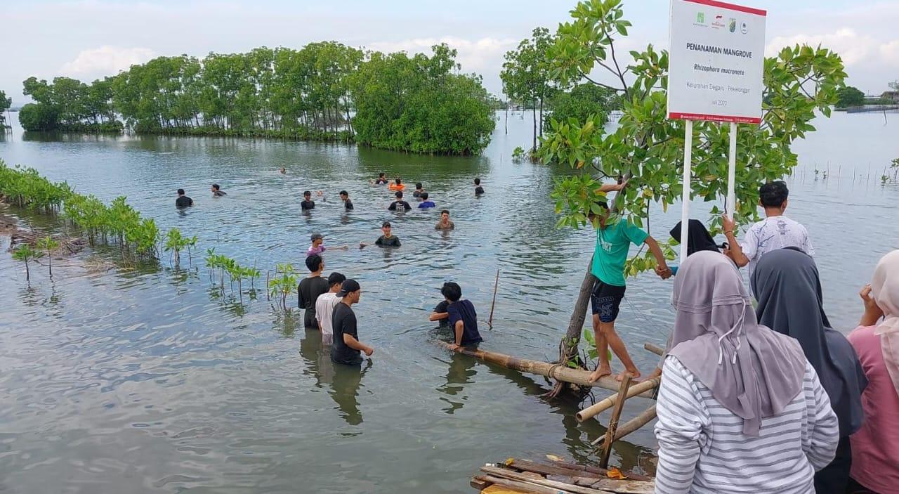 Paket Edukasi & Tanam Mangrove